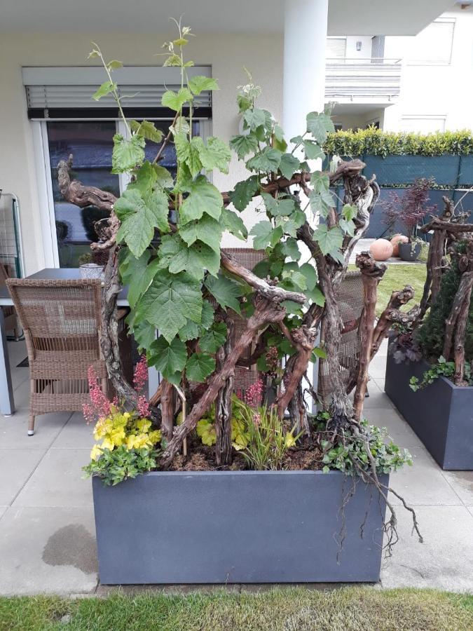 "Nature Erleben" Appartement & Komfortzimmer فيلدين ام ورثرسي المظهر الخارجي الصورة